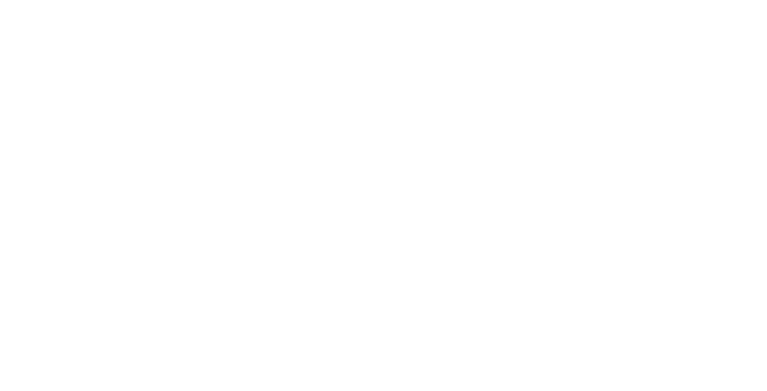 Boston Scientific