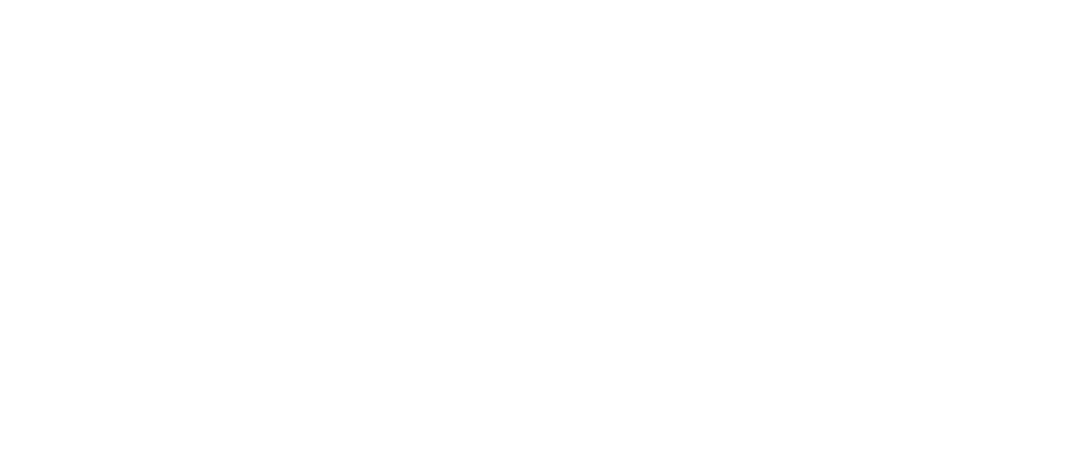 Fidelity