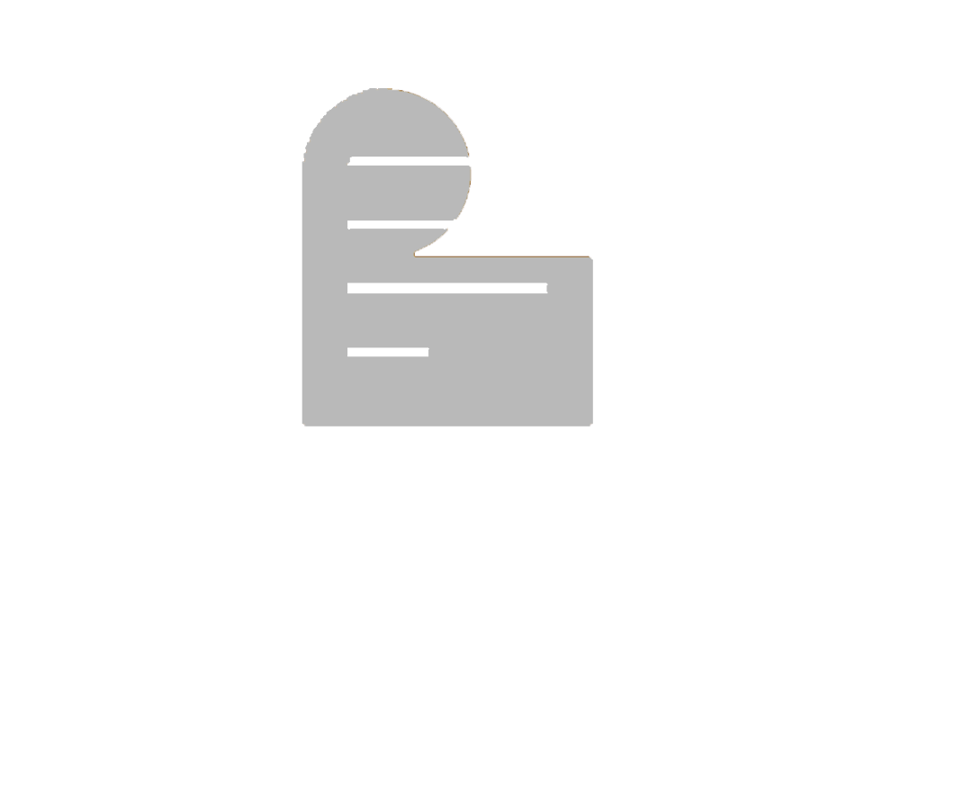 Payslip