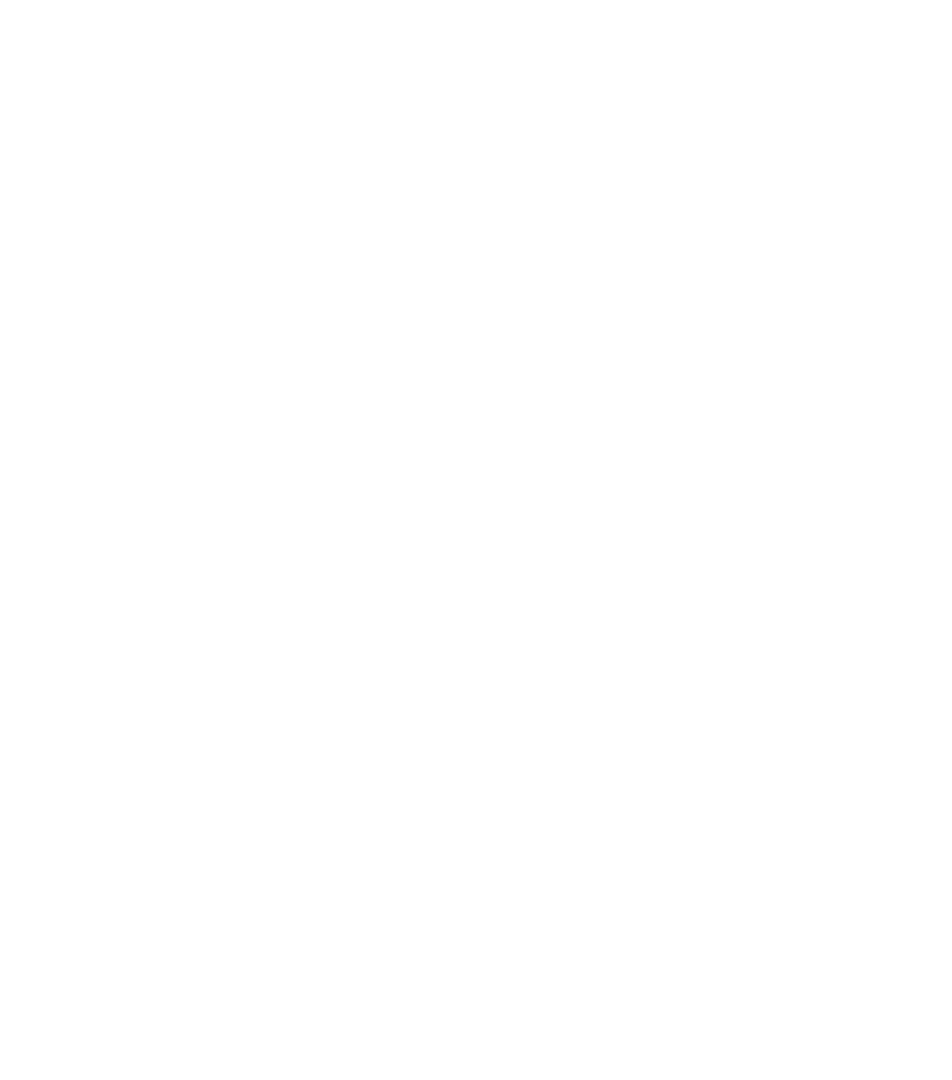 Premium Power