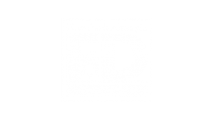 first derivatives logo